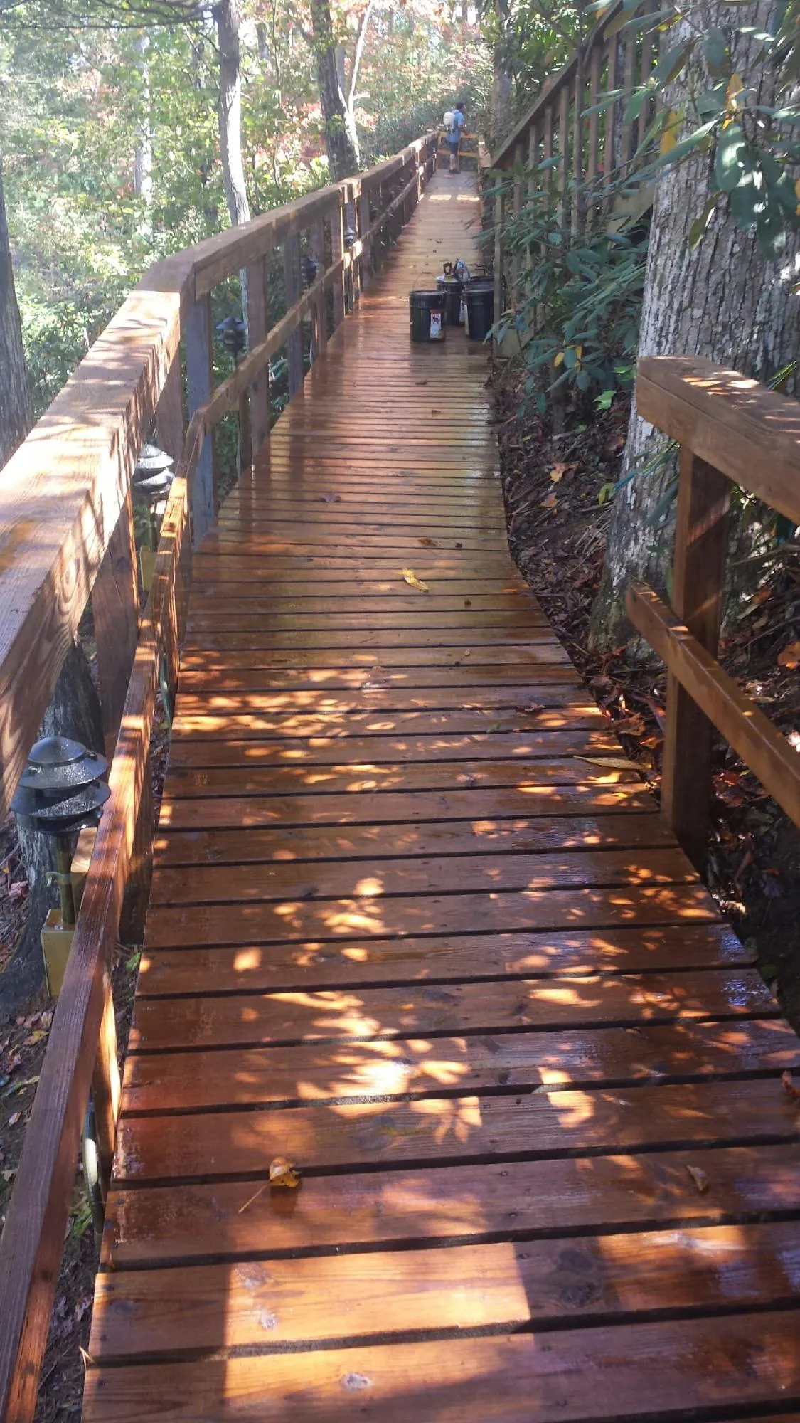 Freshly stained wood walkway winding through the woods in Bath